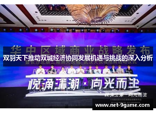 双羽天下推动双城经济协同发展机遇与挑战的深入分析