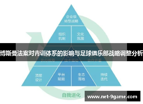 博斯曼法案对青训体系的影响与足球俱乐部战略调整分析