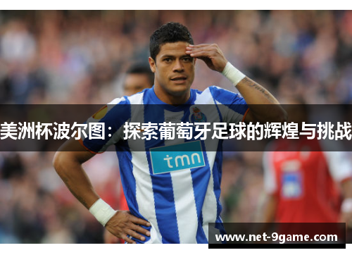 美洲杯波尔图：探索葡萄牙足球的辉煌与挑战