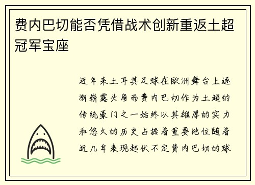 费内巴切能否凭借战术创新重返土超冠军宝座 费内巴切能否凭借战术创新重返土超冠军宝座