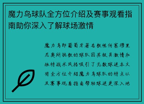 魔力鸟球队全方位介绍及赛事观看指南助你深入了解球场激情 魔力鸟球队全方位介绍及赛事观看指南助你深入了解球场激情